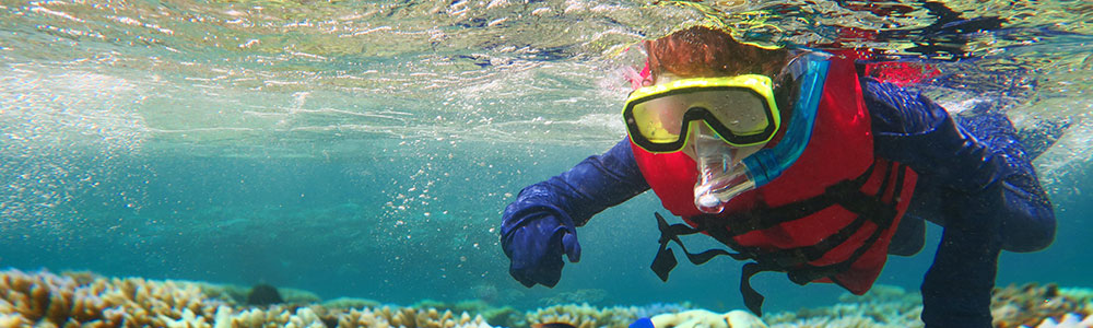 Snorkel Atração - Egypt Tours Portal (PT)