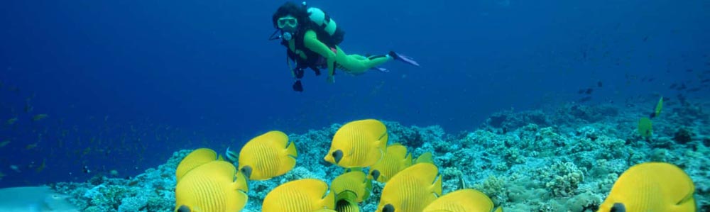 Mergulho Itinerário - Egypt Tours Portal (PT)