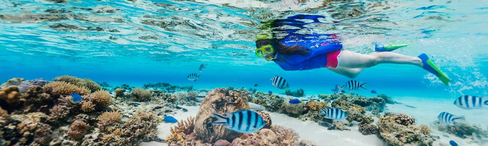 Snorkeling Itinerário - Egypt Tours Portal (PT)