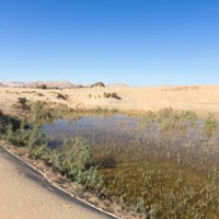 Oásis de Bahariya - Egypt Tours Portal (PT)