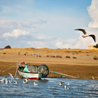 Wadi El Rayan - Egypt Tours Portal (PT)