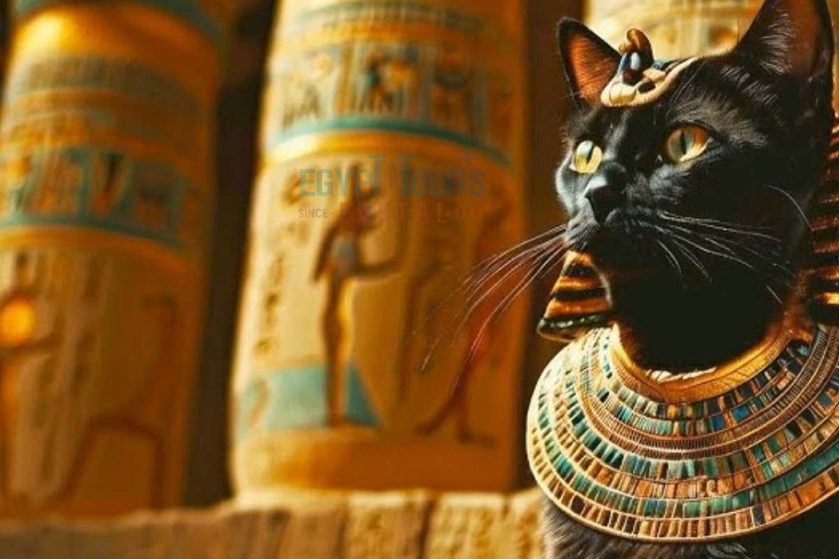 Gato sagrado inspirado na cultura Egípcia - Egypt Tours Portal