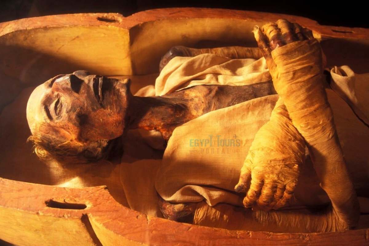 Múmia de Ramsés II - Egypt Tours Portal