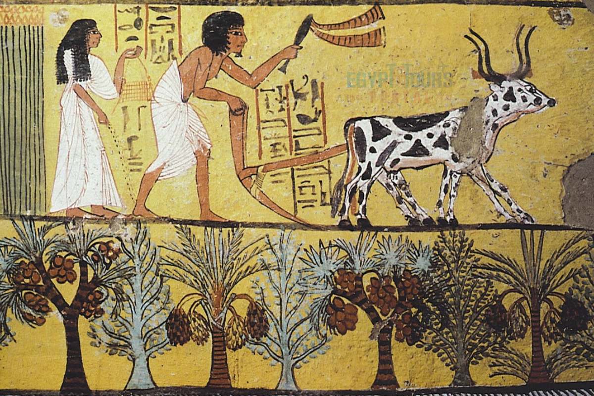 Agricultura egípcia antiga - Egypt Tours Portal