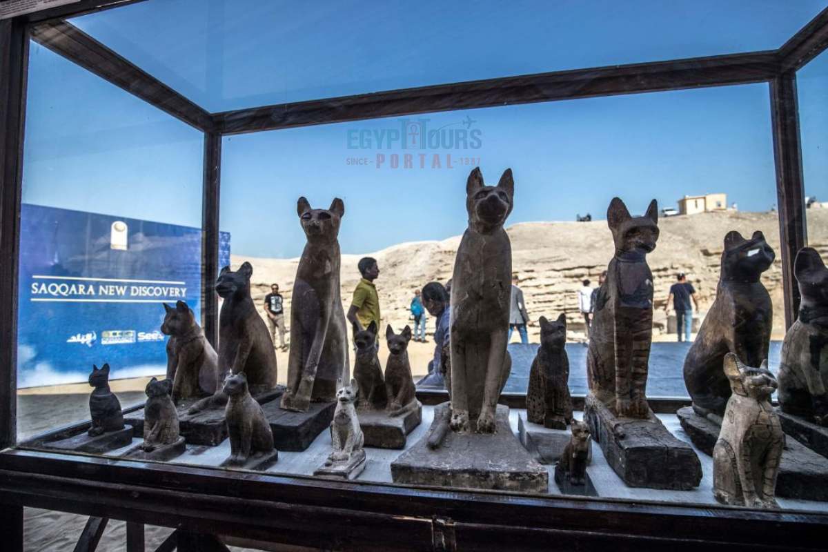 Dezenas de gatos mumificados entre achados raros em Saqqara - Egypt Tours Portal