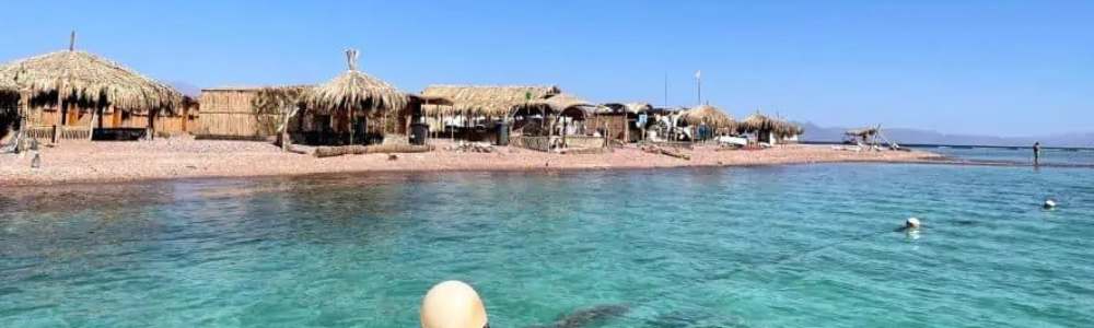 Abu Gallum iti - Egypt Tours Portal