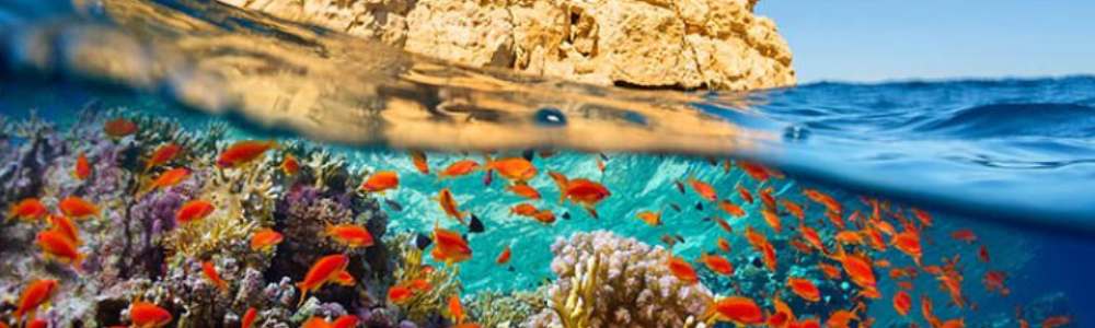 Parque Nacional Ras Muhammad - Egypt Tours Portal