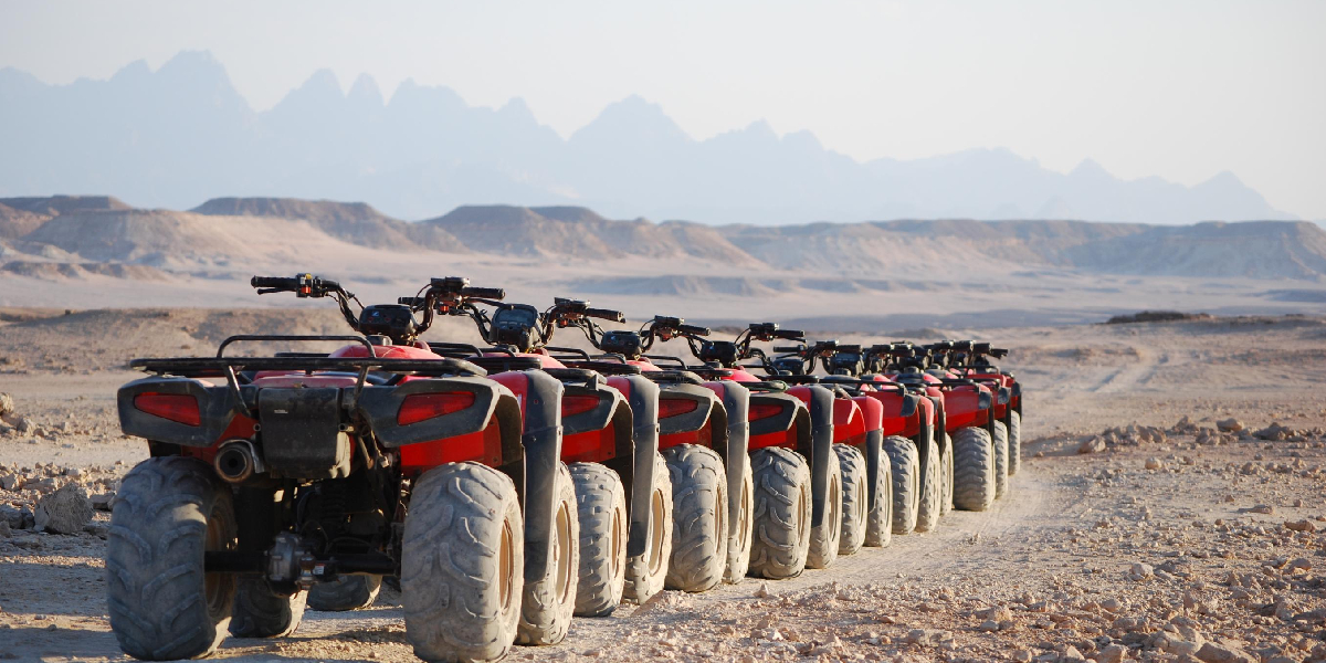 Excursão De Safari Saindo De Marsa Alam - Egypt Tours Portal