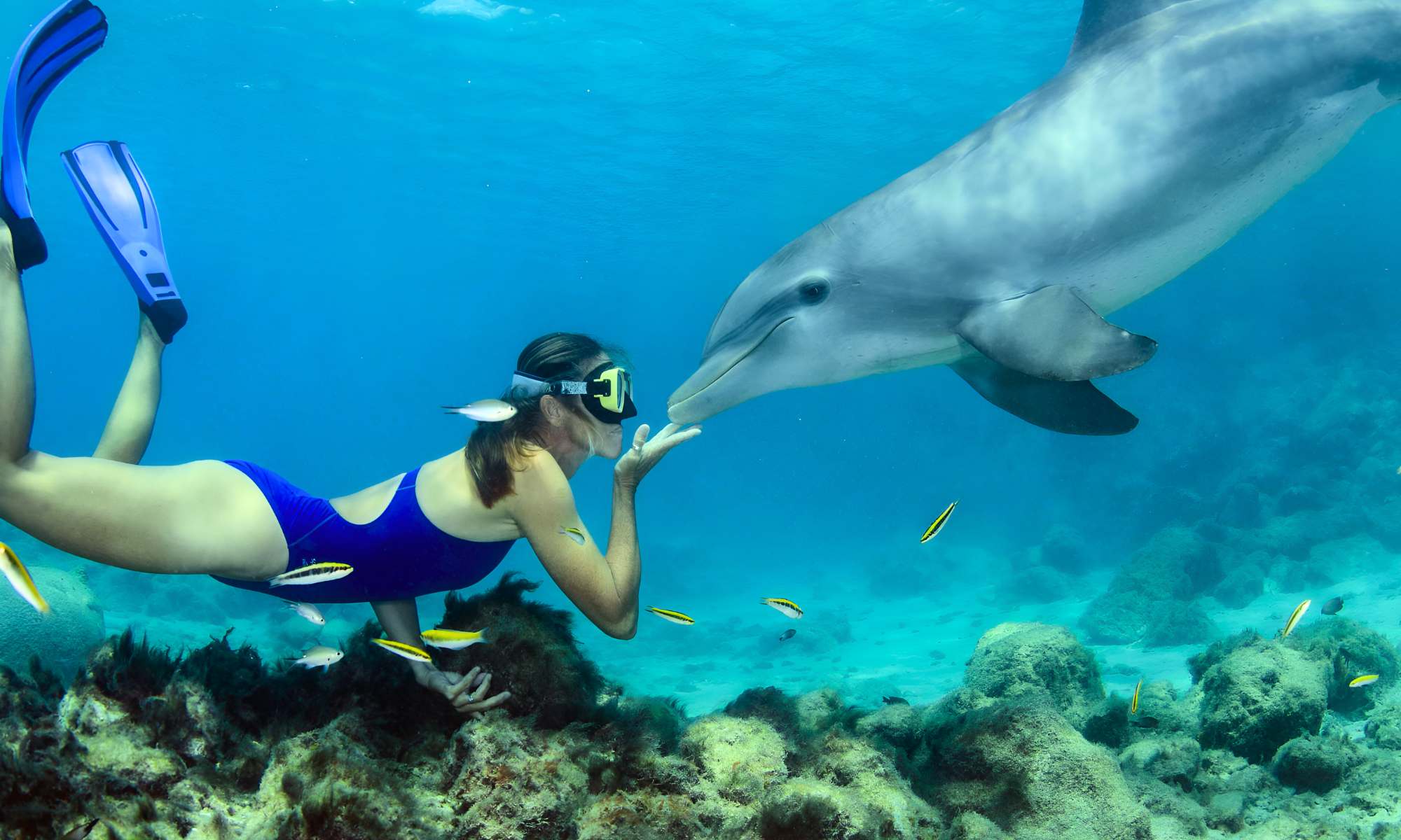 Excursão De Snorkeling Em Marsa Alam - Egypt Tours Portal