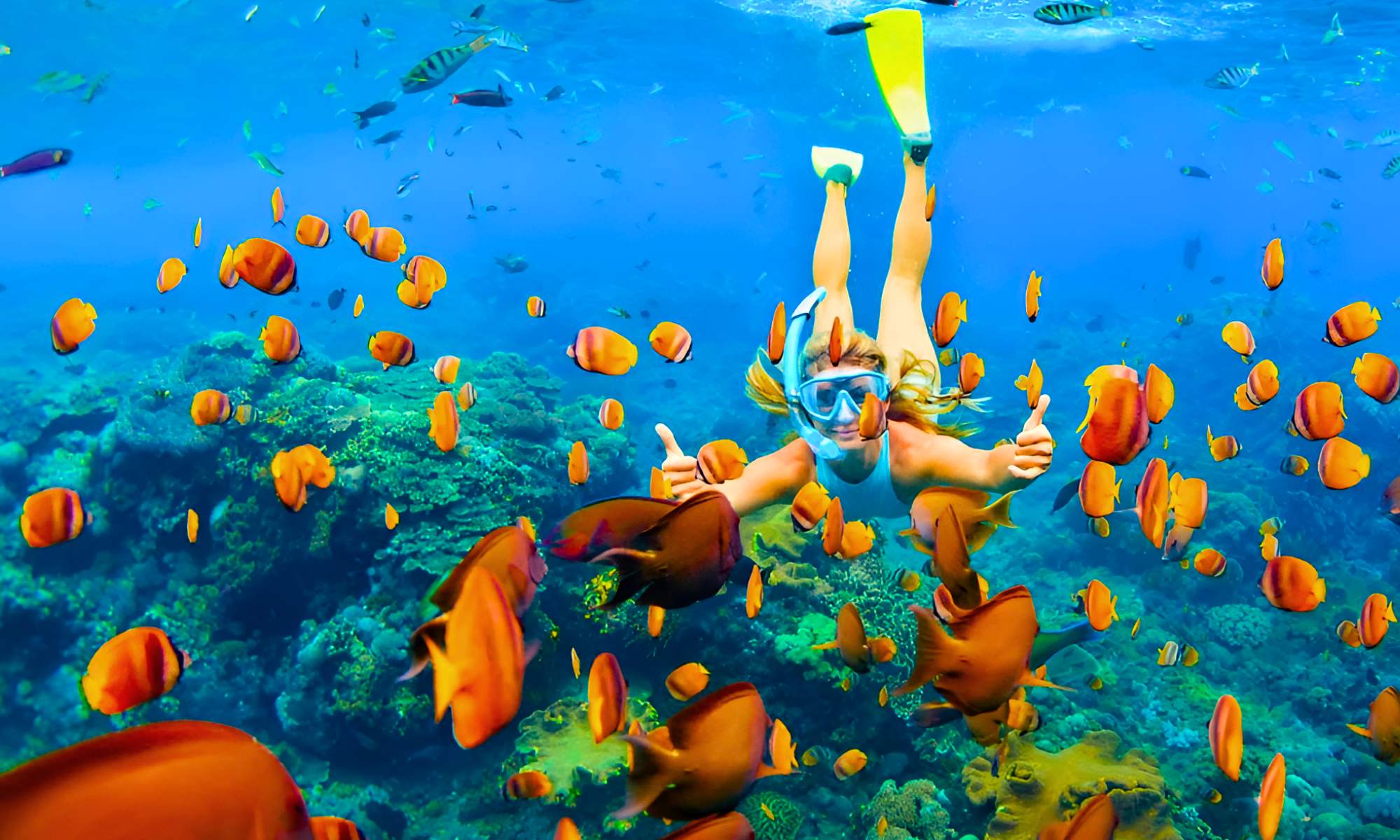 Excursão De Mergulho Com Snorkel Em Port Ghalib - Egypt Tours Portal