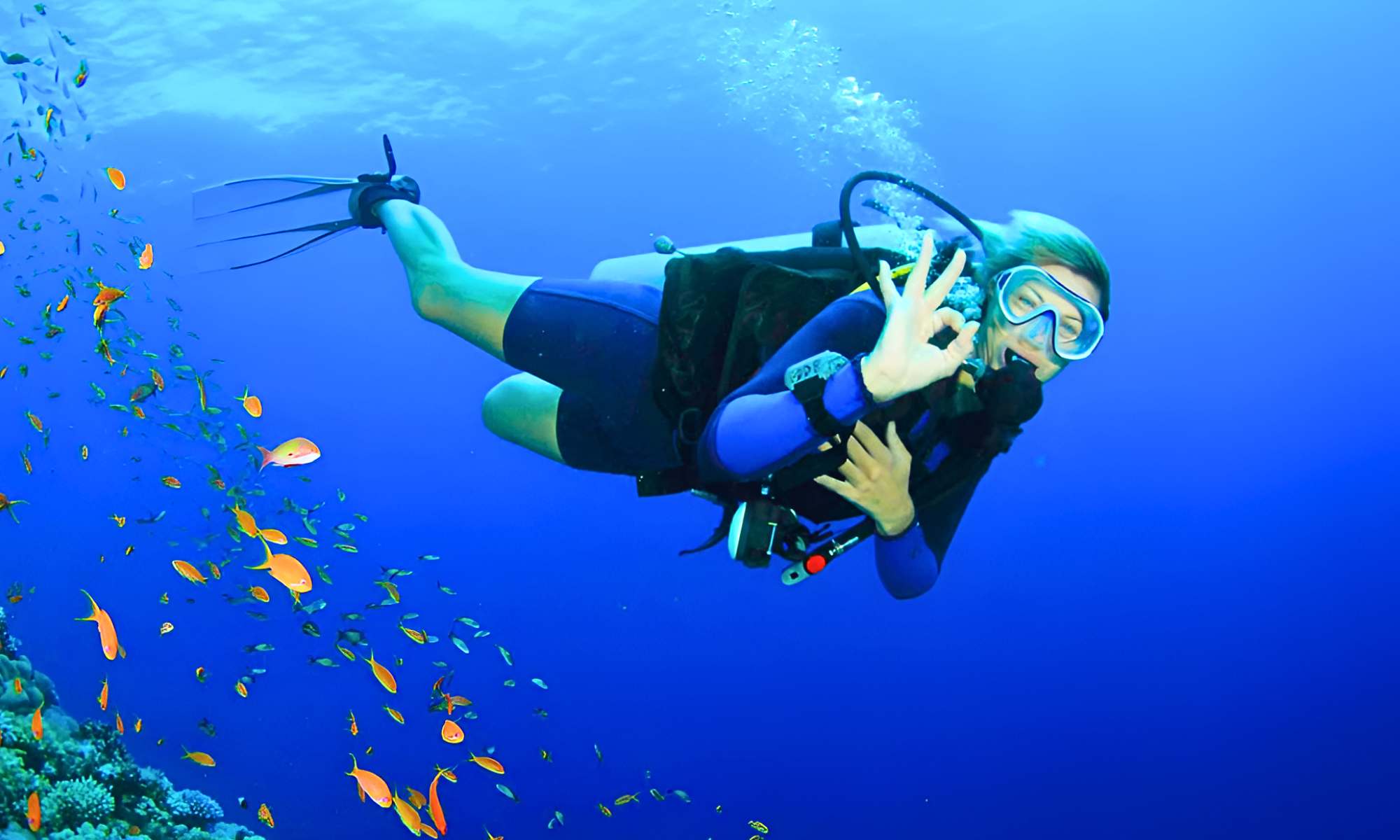 Excursão De Mergulho Em Porto Ghalib - Egypt Tours Portal