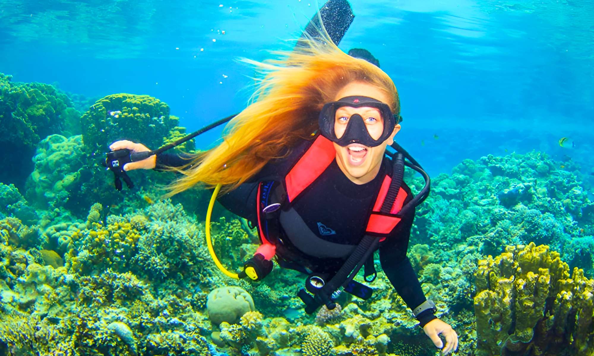 Excursão De Mergulho Em Soma Bay  - Egypt Tours Portal