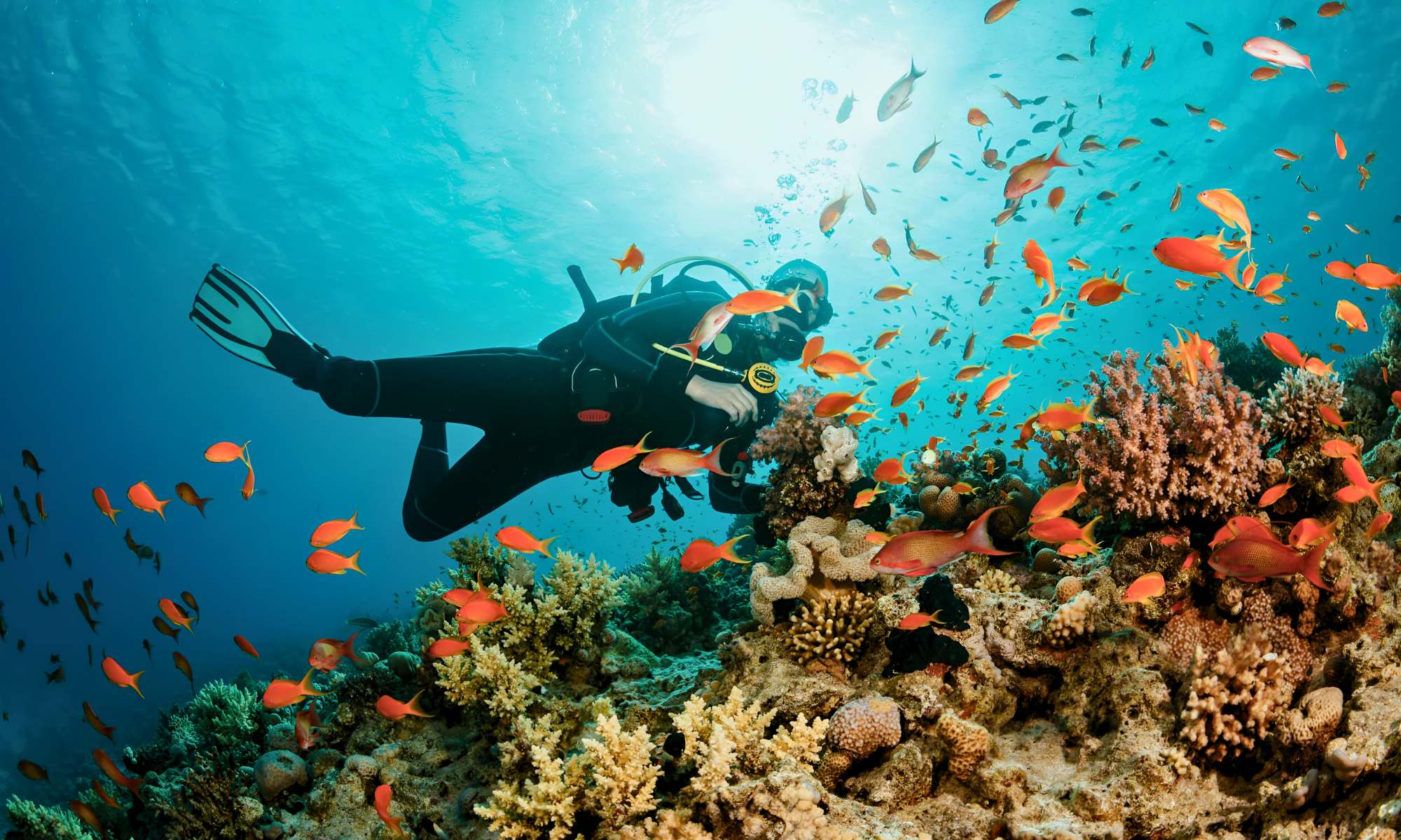 Excursão De Snorkeling Privado Em Hurghada - Egypt Tours Portal