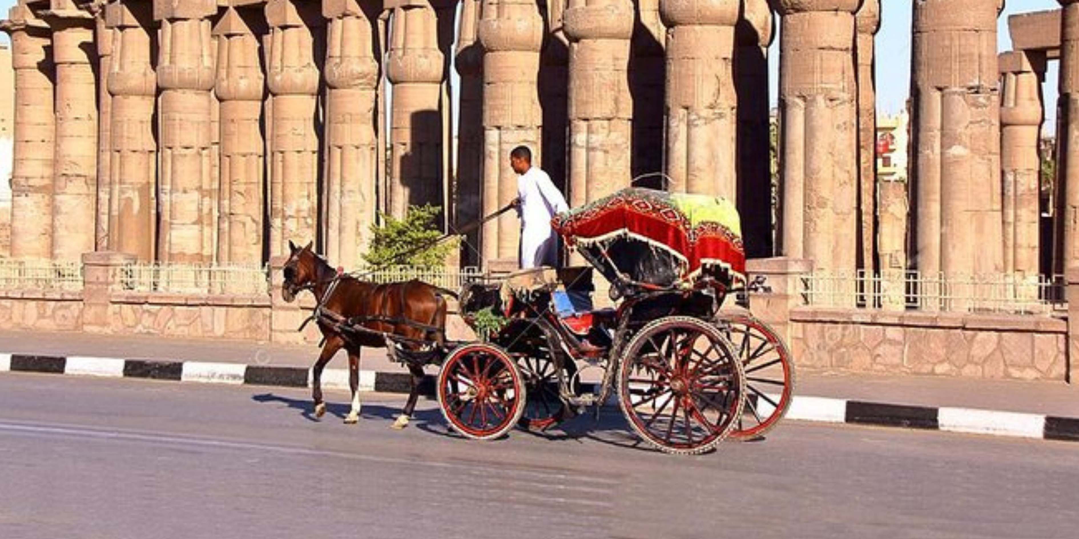 Passeio de Carroça - EGypt Tours Portal