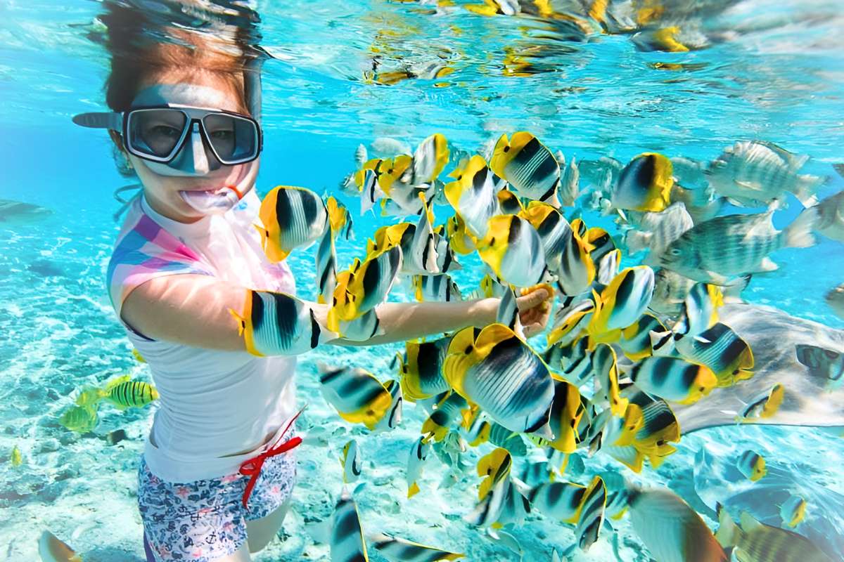 Mergulho com Snorkel no Mar Vermelho em outubro - Egypt Tours Portal